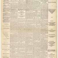 Newspaper Coverage of Bill to Give Women Suffrage, Jan. 11, 1878