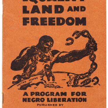 League of Struggle for Negro Rights Program